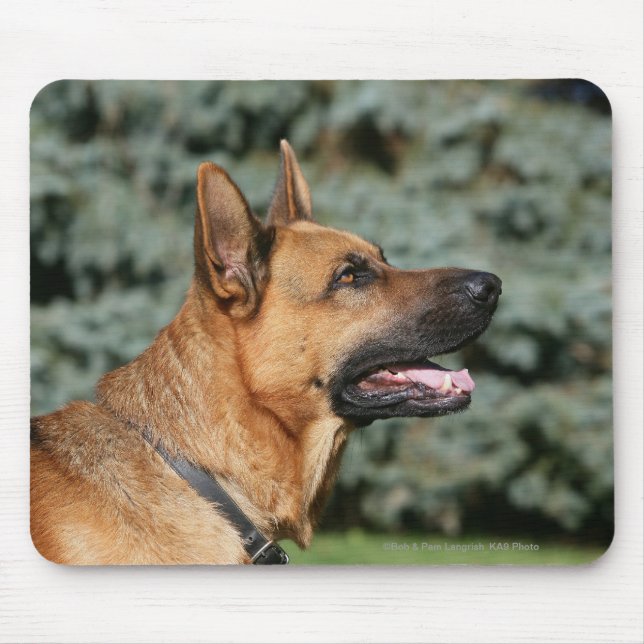 SchäferhundHeadshot 1 Mousepad (Vorne)