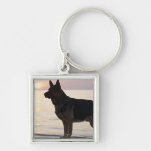 Schäferhundhund auf georgischer Bucht, Ontario, Schlüsselanhänger