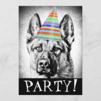 Schäferhundhund