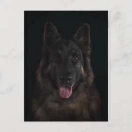 Schäferhundhundeporträt Postkarte