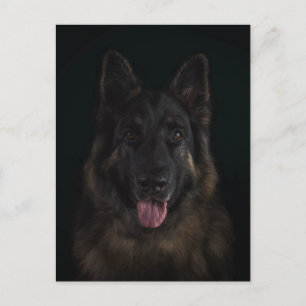 Schäferhundhundeporträt Postkarte