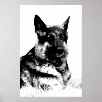 Schäferposter
