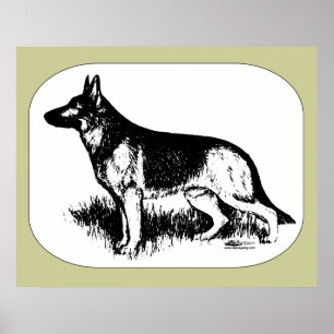 Schäferprofil Poster