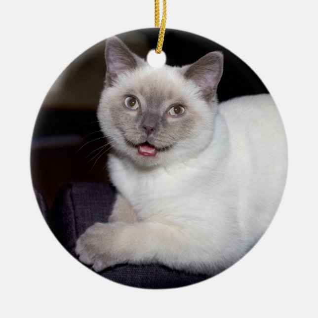 Schaffen-Ihr-Eigen-Foto | Keramik Ornament (Vorne)