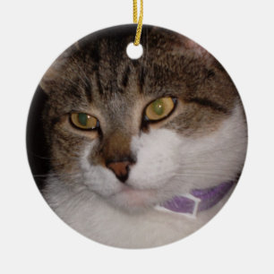 Schaffen Sie Ihre eigene Foto Keramik Ornament