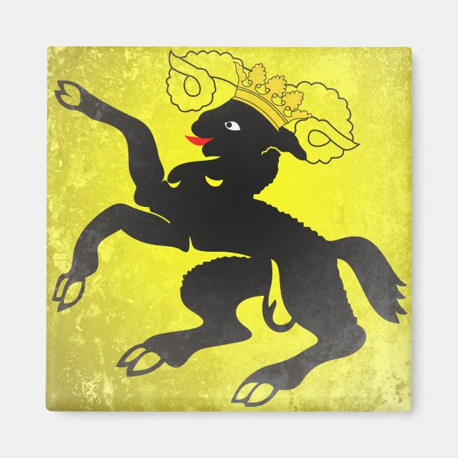 Schaffhausen Magnet (Vorne)