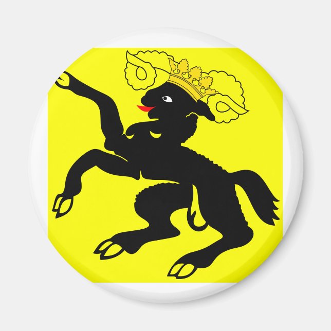 Schaffhausen, Schweiz Magnet (Vorne)