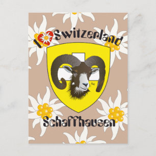 Schaffhausen Schweiz Postkarte