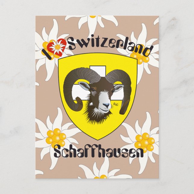 Schaffhausen Schweiz Postkarte (Vorderseite)