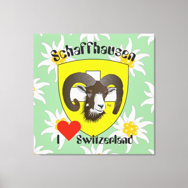 Schaffhausen - Schweiz - Suisse - Leinwand (Vorderseite)