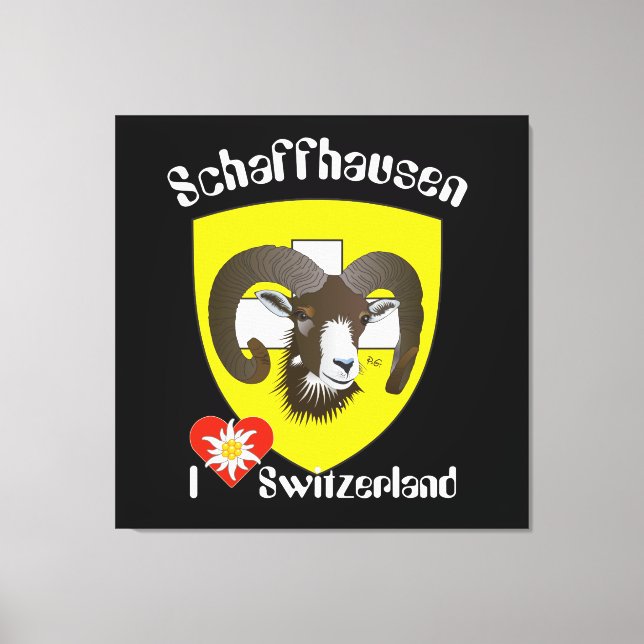 Schaffhausen - Schweiz - Suisse - Leinwand (Vorderseite)