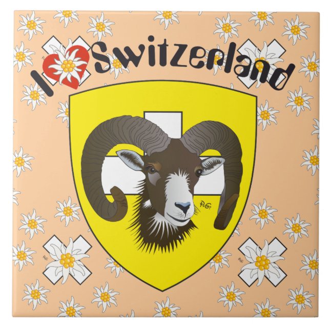 Schaffhausen - Schweiz - Suisse - Svizzera Fliese (Vorderseite)