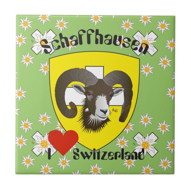 Schaffhausen - Schweiz - Suisse - Svizzera Fliese (Vorderseite)