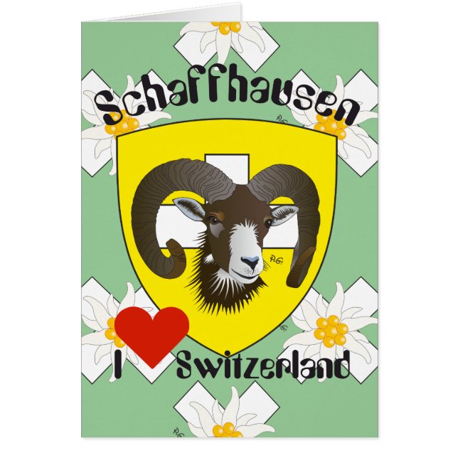 Schaffhausen Schweiz Suisse Svizzera Grusscard (Vorne)