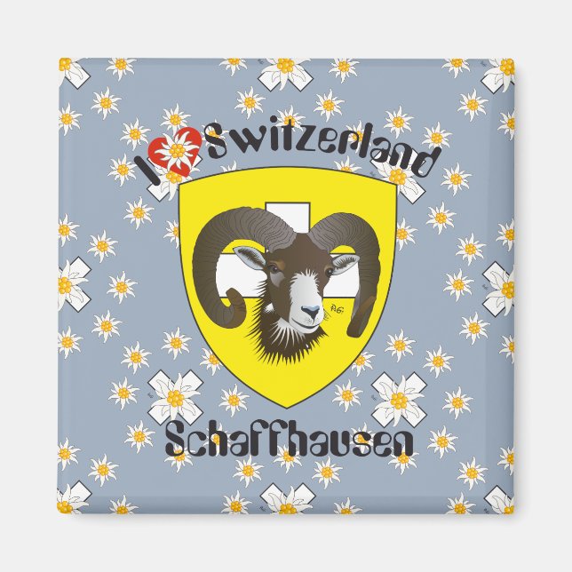 Schaffhausen - Schweiz - Suisse - Svizzera Magnet (Vorne)