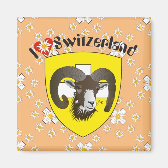 Schaffhausen - Schweiz - Suisse - Svizzera Magnet (Vorne)