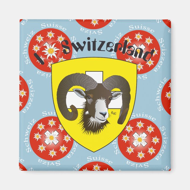 Schaffhausen - Schweiz - Suisse - Svizzera Magnet (Vorne)