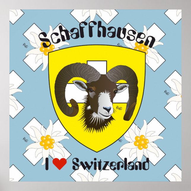 Schaffhausen - Schweiz - Suisse - Svizzera Poster (Vorne)