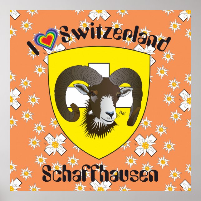 Schaffhausen - Schweiz - Suisse - Svizzera Poster (Vorne)