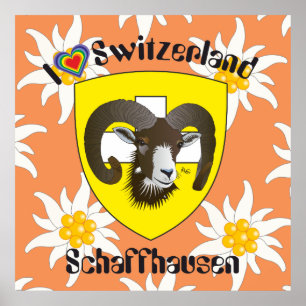 Schaffhausen - Schweiz - Suisse - Svizzera Poster
