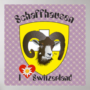 Schaffhausen - Schweiz - Suisse - Svizzera Poster