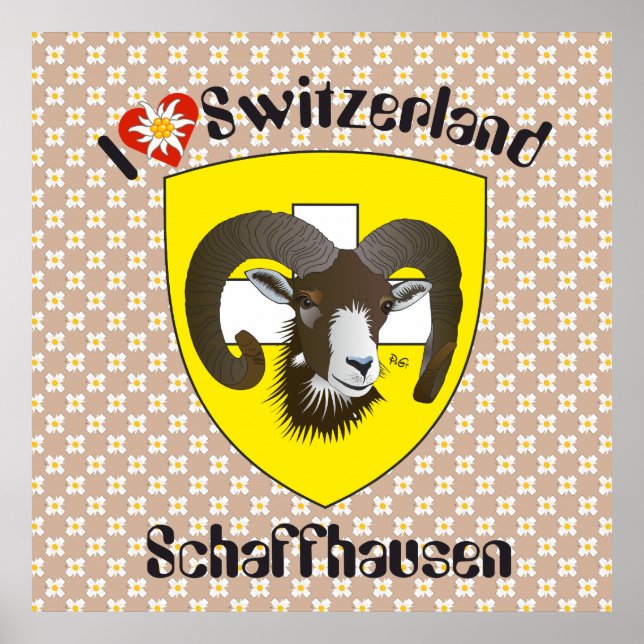 Schaffhausen - Schweiz - Suisse - Svizzera Poster (Vorne)