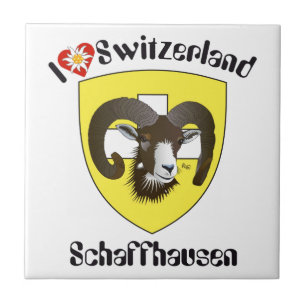 Schaffhausen Schweiz Suisse Svizzera Svizra Fliese