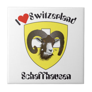 Schaffhausen Schweiz Suisse Svizzera Svizra Fliese