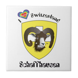 Schaffhausen Schweiz Suisse Svizzera Svizra Fliese