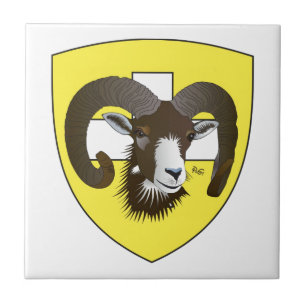 Schaffhausen Schweiz Suisse Svizzera Svizra Fliese