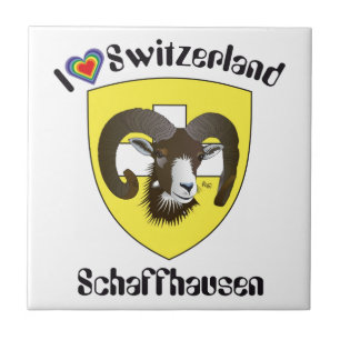 Schaffhausen Schweiz Suisse Svizzera Svizra Fliese