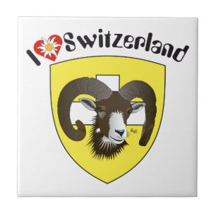 Schaffhausen Schweiz Suisse Svizzera Svizra Fliese