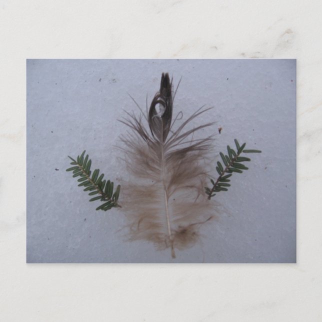 Schaffung Postkarte (Vorderseite)