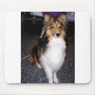 Schafhund im Shetland 2 Mousepad