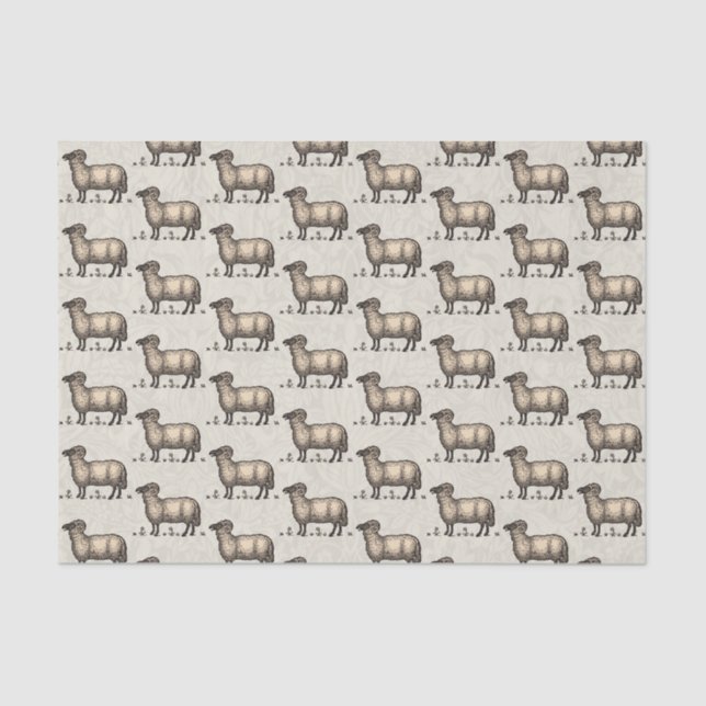 Schaflammfarm Vintag Seidenpapier (Vorderseite)