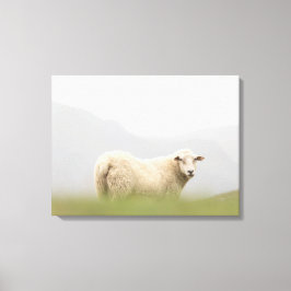 Schafnatur-Foto Leinwanddruck
