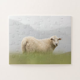Schafnatur-Foto Puzzle