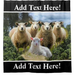 Schafschaf Herde Baby Lamb Schaffarm Duschvorhang