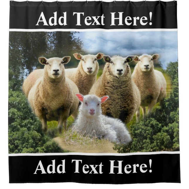 Schafschaf Herde Baby Lamb Schaffarm Duschvorhang (Vorderseite)