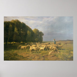Schafschaf in einer Landschaft Poster