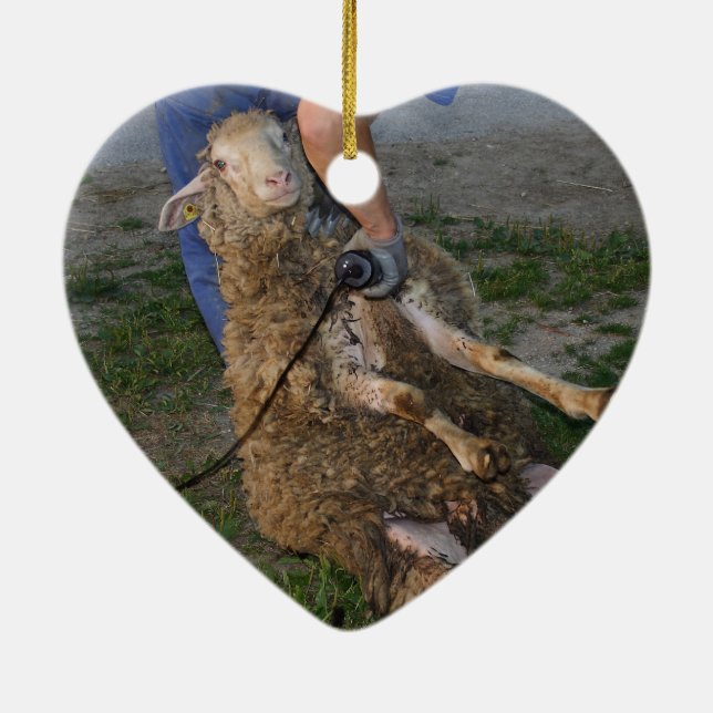 Schafshören Keramik Ornament (Hinten)