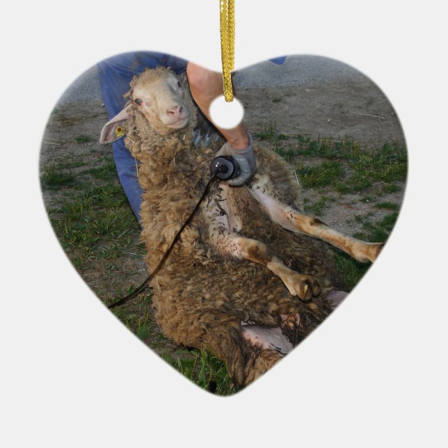 Schafshören Keramikornament (Vorne)