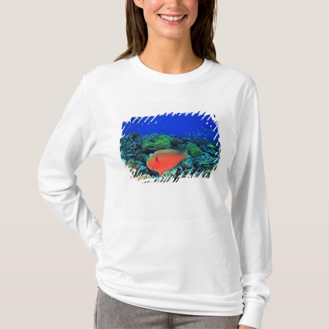 Schafskopf T-Shirt (Vorderseite)