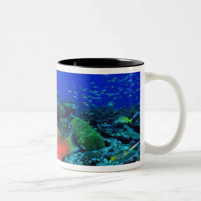 Schafskopf Zweifarbige Tasse (Rechts)