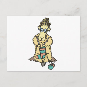 Schafspinken Postkarte