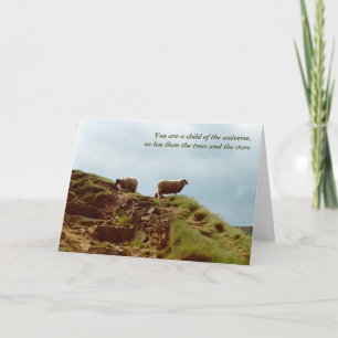 Schafweide auf einer Mountain UK Peaks Desiderata  Karte