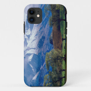 Schafweiden unter der schneebedeckten Harris Case-Mate iPhone Hülle