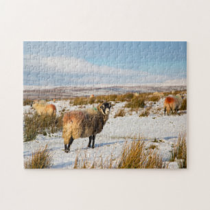 SchafWinterlandschaft Puzzle