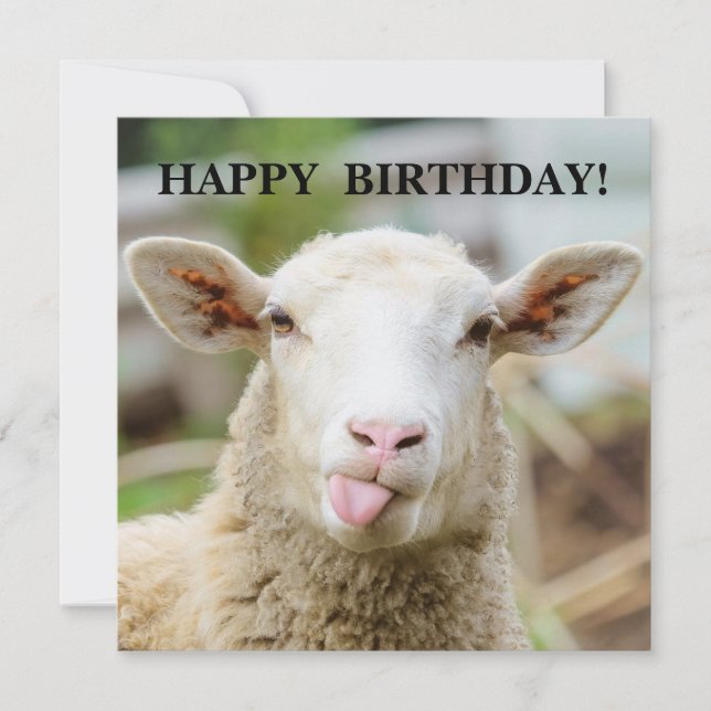 Schafzunge Feiertagskarte (Vorderseite)