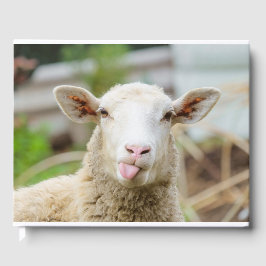 Schafzunge Gästebuch